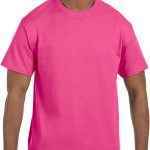 Hanes Tagless t-Shirt (5250T)